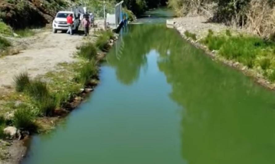 Queilen sin agua potable por floración de microalgas