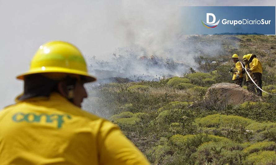 Se declara Alerta Amarilla para la Provincia de Chiloé por incendio forestal