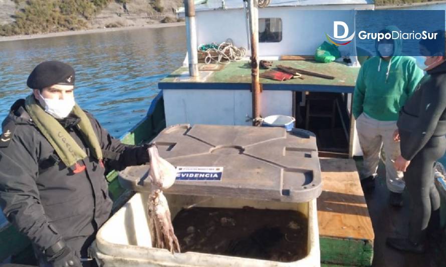 Autoridad Marítima incautó 100 kilos de Pulpo tras patrullajes en Quinchao