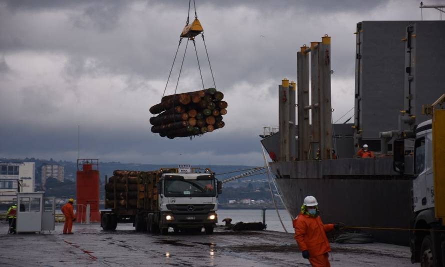 Desde Puerto Montt sale primera exportación de rollizos de pino a granel