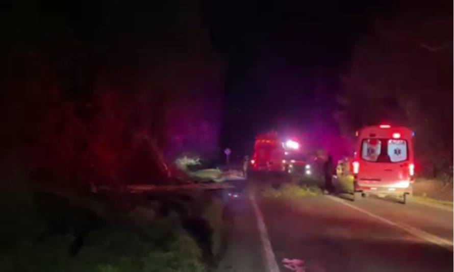 El lugar del accidente en Fresia