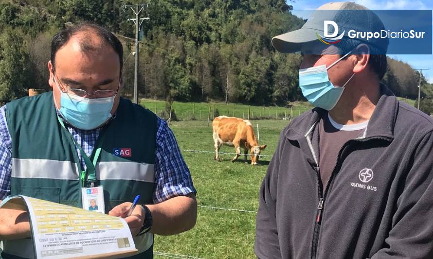 Capacitan a pequeños agricultores en trazabilidad animal y exportación de carne 