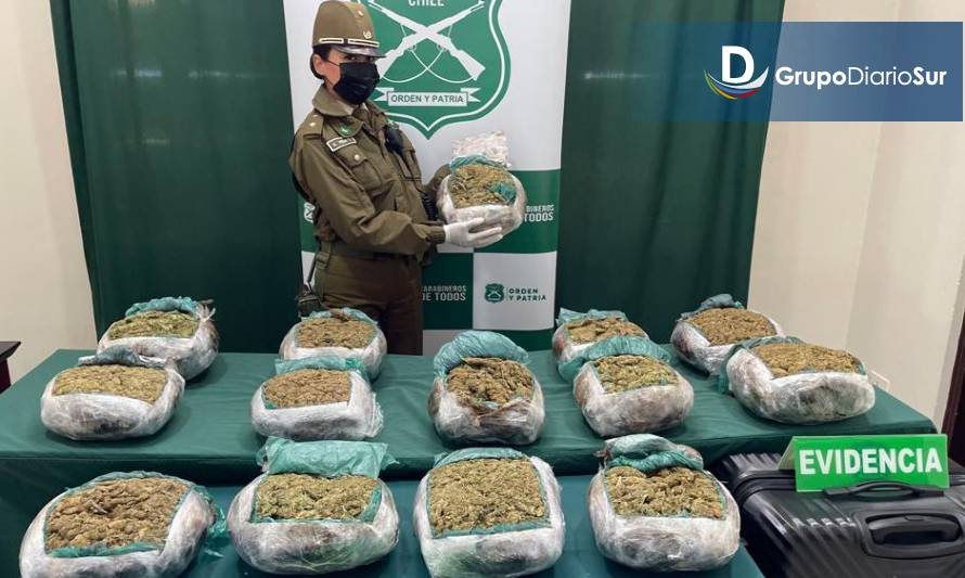 Decomisan más de 31 mil dosis de marihuana que intentaban ingresar a Puerto Montt