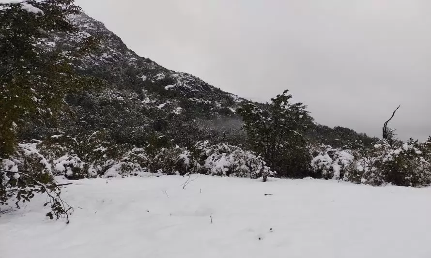 Valoran declaración de emergencia agrícola por nieve en Cochamó 