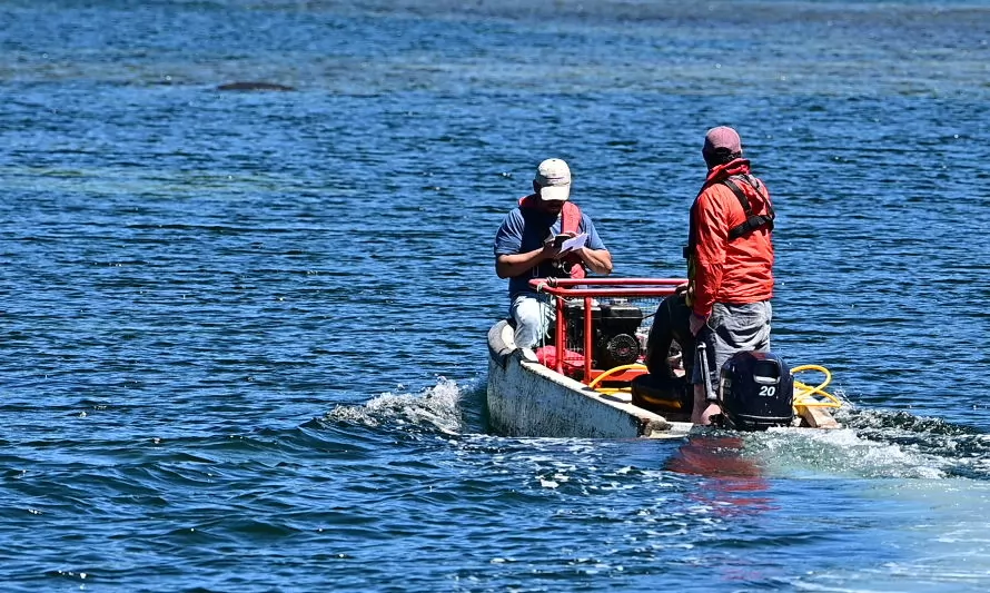 Programa de Investigación Pesquera e IFOP realizaron nuevo monitoreo a estaciones de erizos y almejas en Aysén