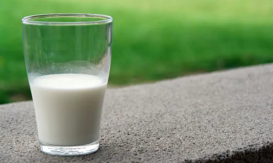 SAGO A.G. llama a autoridades para fiscalizar productos lácteos extranjeros que se venden en supermercados