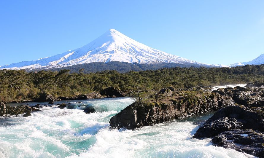 CONAF: 53 años de conservación y protección de los recursos naturales