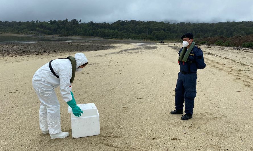 SAG anunció levantamiento de zonas bajo control sanitario por gripe aviar