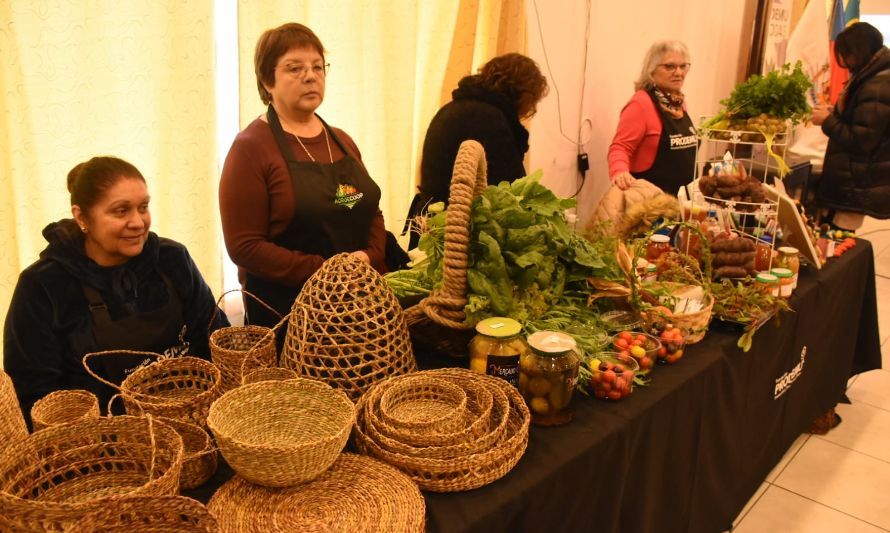 Gobierno Regional y Prodemu fortalecerán la salud integral de mujeres de Los Lagos para que den impulso a sus emprendimientos