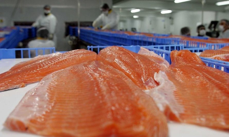 Toneladas exportadas de salmón chileno bajaron 1% el primer trimestre de este año