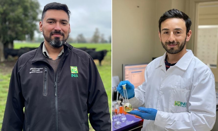 Rodrigo Morales y Nicolás Pizarro, investigadores de INIA Remehue. Créditos: INIA.