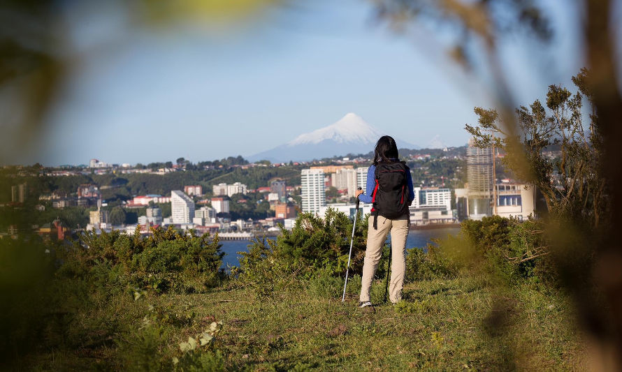 La naturaleza de la región de Los Lagos se hace presente en el festival de naturaleza Ladera Sur