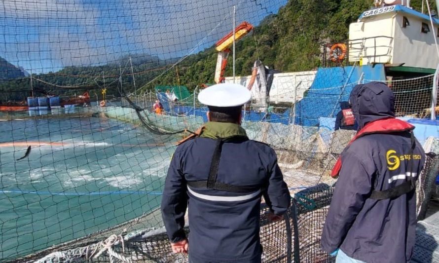 Imagen de referencia de SERNAPESCA