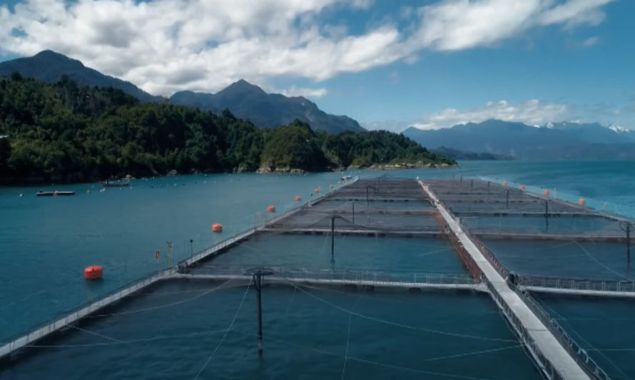 Empresas acuícolas y Gobierno chileno se unen para preservar parques nacionales: Tres áreas protegidas libres de salmonicultura