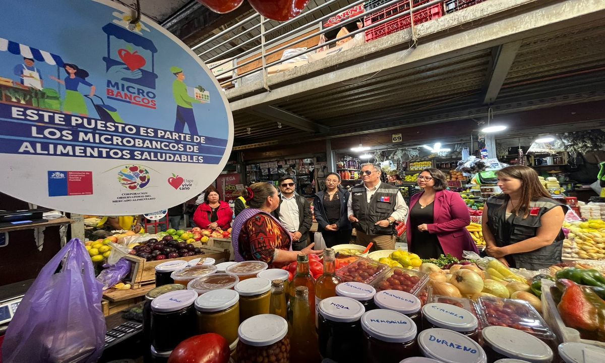 ¿Cómo funcionan los micro bancos de alimentos? Ya existen cinco en la región de Los Lagos