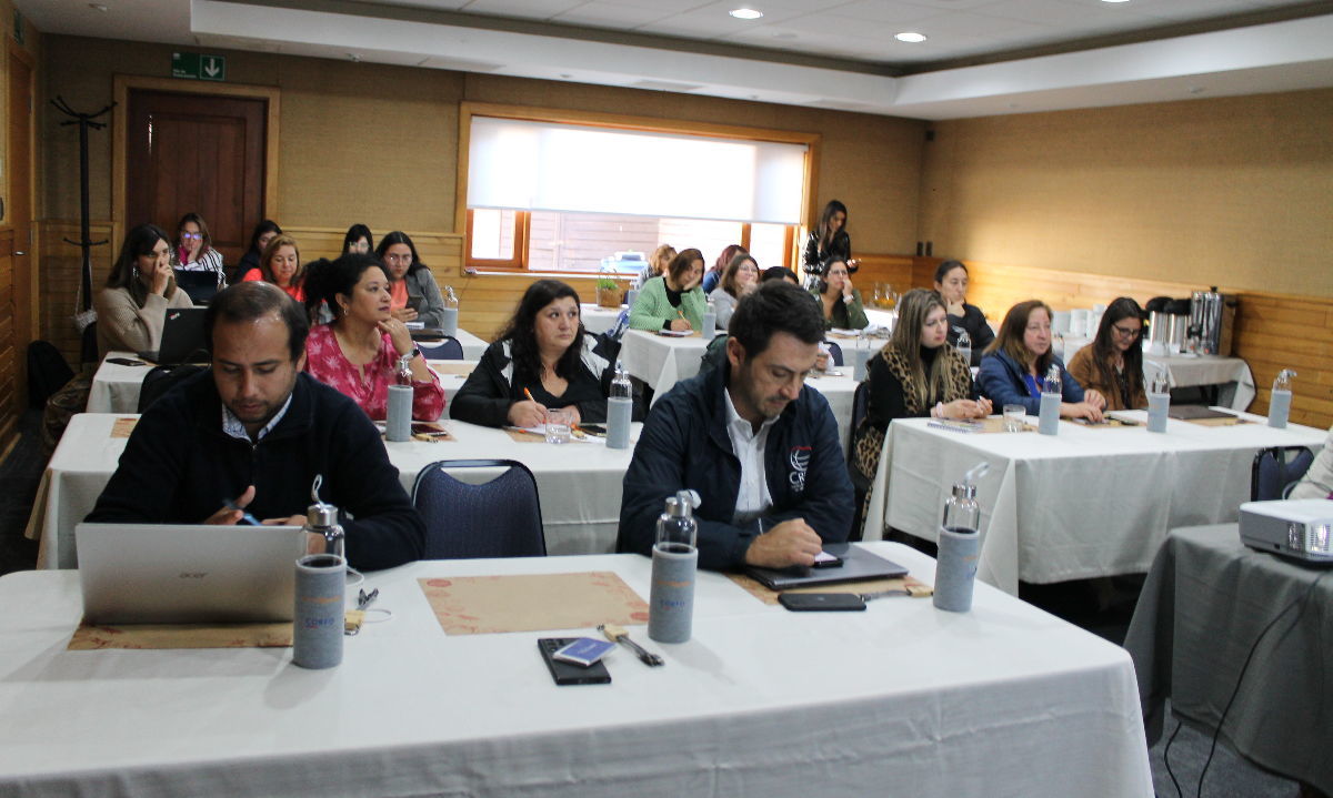 Lanzan proyecto de apoyo al emprendimiento femenino de Los Lagos 