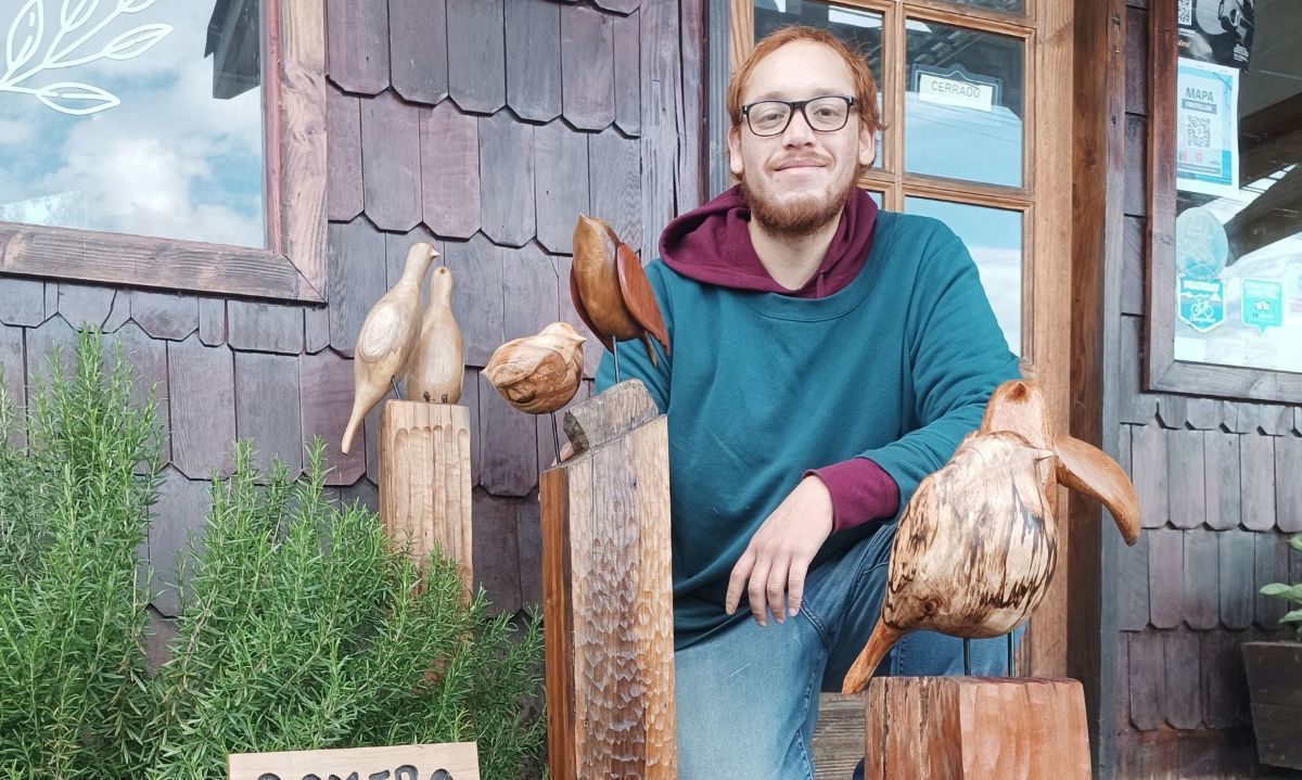 Del Sur Nativo: hecho con amor a la artesanía y la naturaleza desde Frutillar 