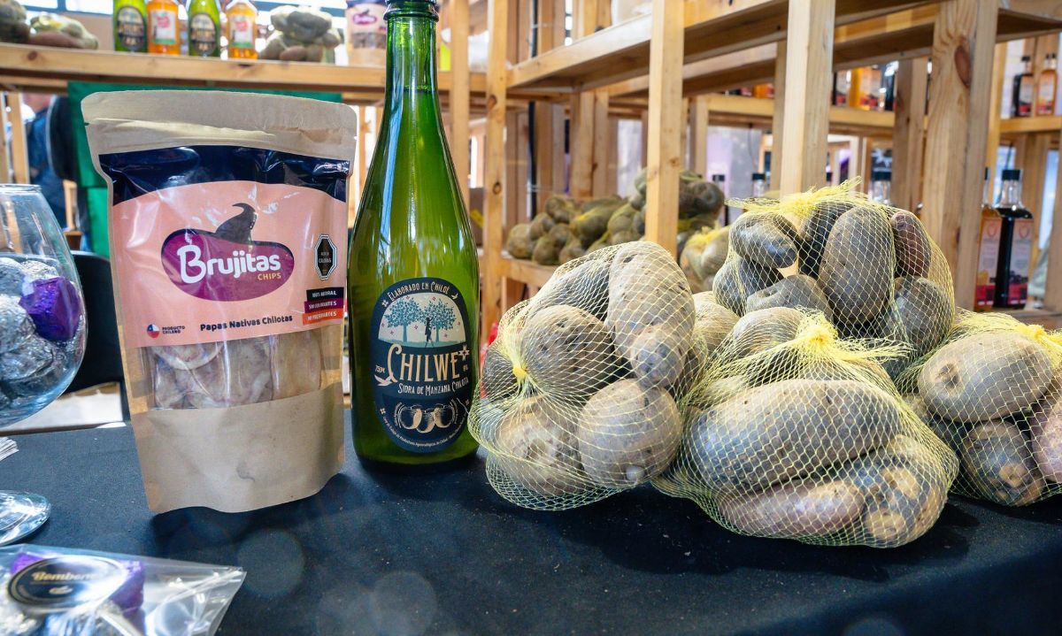 Sidrería de Ancud representa a Chile en la Cidercon 2025 de Chicago