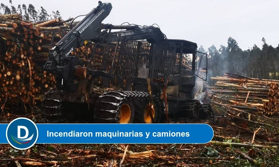 Forestal osornina sufrió millonarias pérdidas por atentado  