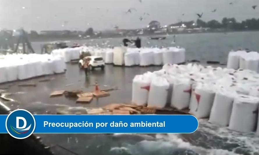 Más de 300 toneladas de alimentos cayeron al mar tras colapso de muelle en Calbuco