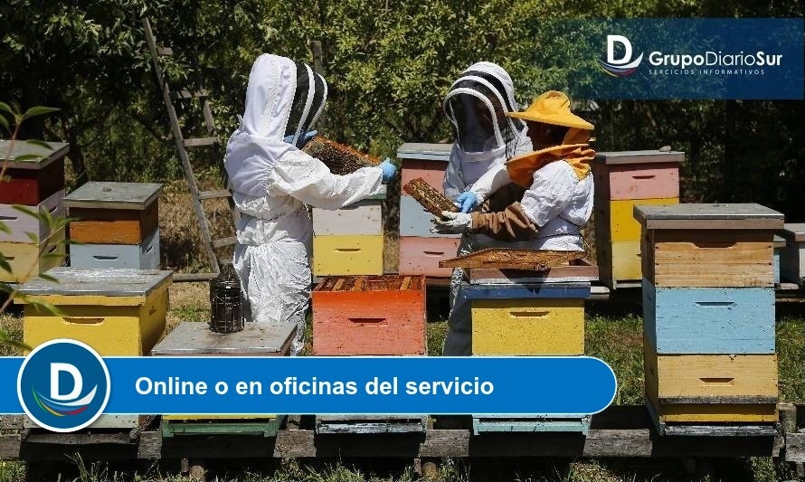 Sag recuerda a apicultores registrarse y declarar sus colmenas 