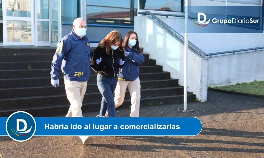 Amplio surtido de drogas portaba mujer detenida en Puerto Montt