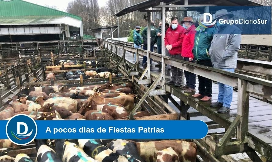 Fuente: SAG Los Lagos.
